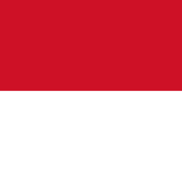 flag of Indonesia